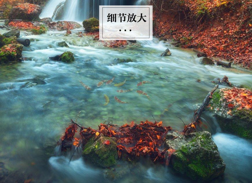 酷老师的教室