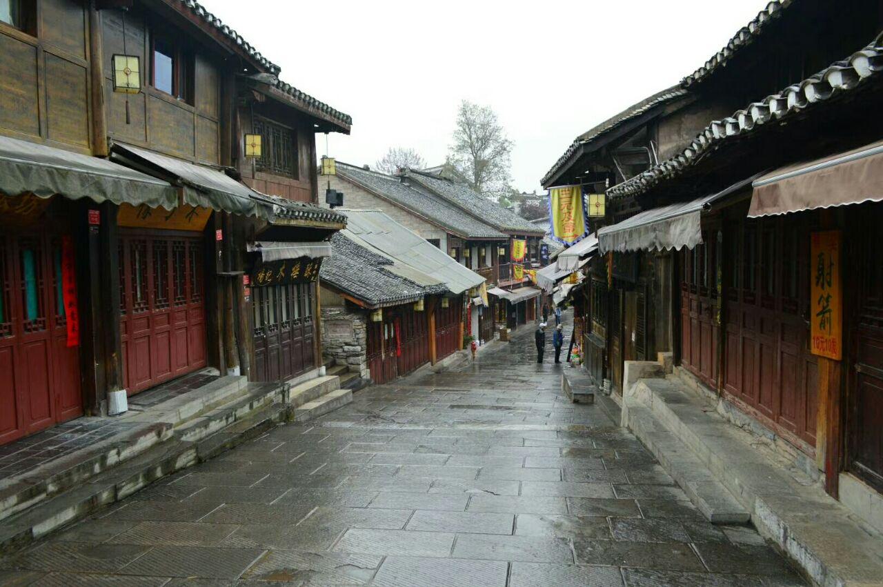 寻找迷路的松鼠